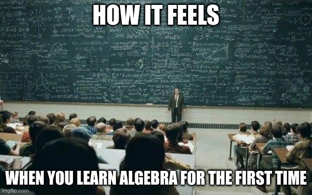 my brain felt like it exploded the first time i learned this | HOW IT FEELS; WHEN YOU LEARN ALGEBRA FOR THE FIRST TIME | image tagged in math,my brain hurts | made w/ Imgflip meme maker