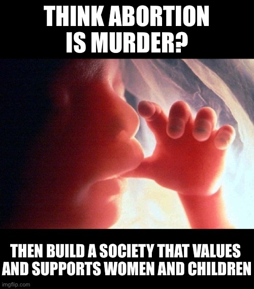 Try being pro-life for once | THINK ABORTION IS MURDER? THEN BUILD A SOCIETY THAT VALUES 
AND SUPPORTS WOMEN AND CHILDREN | image tagged in abortion | made w/ Imgflip meme maker