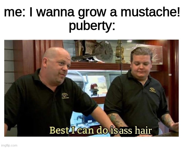 this is so true, at least for me and the dudes :( | me: I wanna grow a mustache!
puberty:; ass hair | image tagged in best i can do is gun,funny memes,useless tag,meme,funni | made w/ Imgflip meme maker