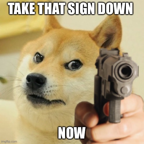 Doge holding a gun | TAKE THAT SIGN DOWN NOW | image tagged in doge holding a gun | made w/ Imgflip meme maker