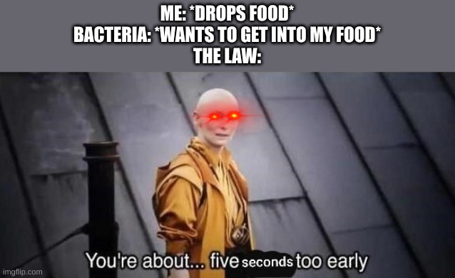 The Floor Law | ME: *DROPS FOOD*
BACTERIA: *WANTS TO GET INTO MY FOOD*

THE LAW: | image tagged in funny,funny memes,memes,food,bacteria,5 second rule | made w/ Imgflip meme maker