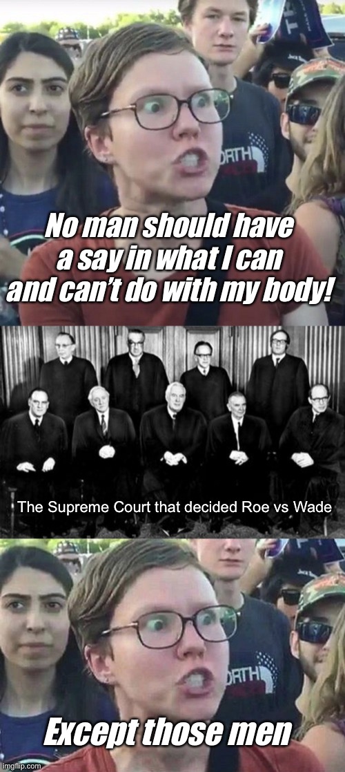 No man except those men | No man should have a say in what I can and can’t do with my body! The Supreme Court that decided Roe vs Wade; Except those men | image tagged in triggered feminist,triggered liberal,politics lol,memes | made w/ Imgflip meme maker