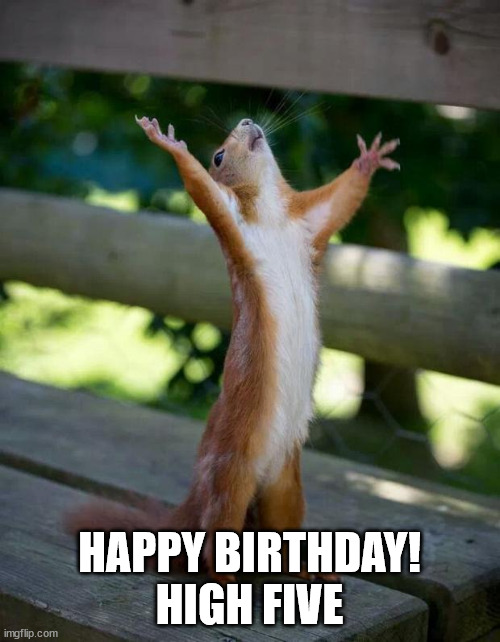 Happy Squirrel | HAPPY BIRTHDAY!
HIGH FIVE | image tagged in happy squirrel | made w/ Imgflip meme maker
