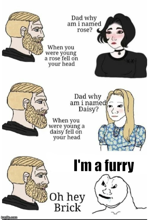 KILL HIM | I'm a furry | image tagged in oh hey brick,anti furry,oh wow are you actually reading these tags,stop reading the tags | made w/ Imgflip meme maker