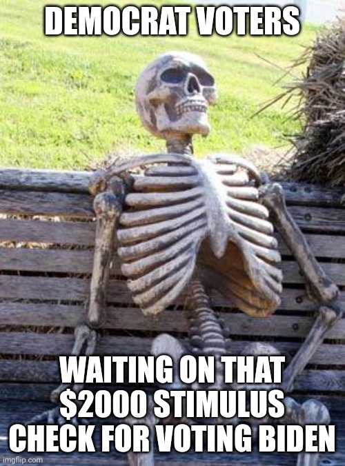 Lol I thought we elected the welfare guys?? | DEMOCRAT VOTERS; WAITING ON THAT $2000 STIMULUS CHECK FOR VOTING BIDEN | image tagged in memes,waiting skeleton,stimulus,where is,biden | made w/ Imgflip meme maker