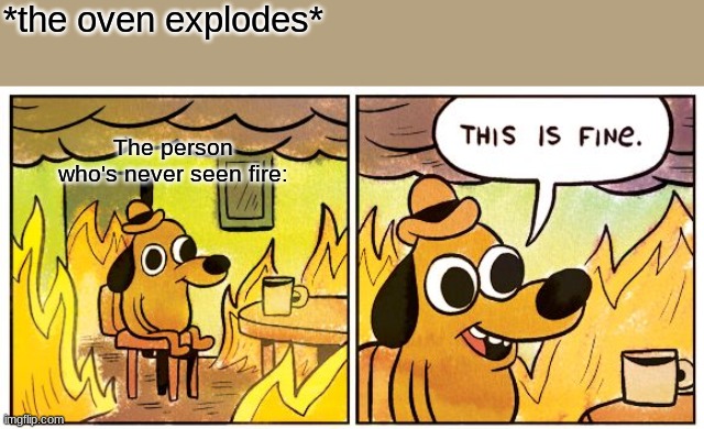 This Is Fine | *the oven explodes*; The person who's never seen fire: | image tagged in memes,this is fine | made w/ Imgflip meme maker