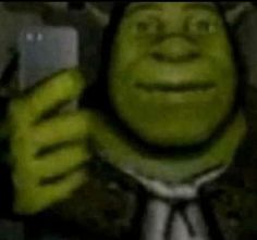High Quality Shrek 4k Blank Meme Template