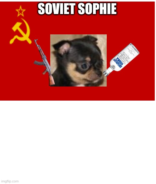 SOVIET SOPHIE | image tagged in blank white template | made w/ Imgflip meme maker