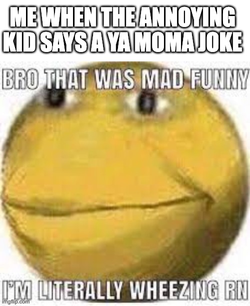 bruh | ME WHEN THE ANNOYING KID SAYS A YA MOMA JOKE | image tagged in bruh moment | made w/ Imgflip meme maker
