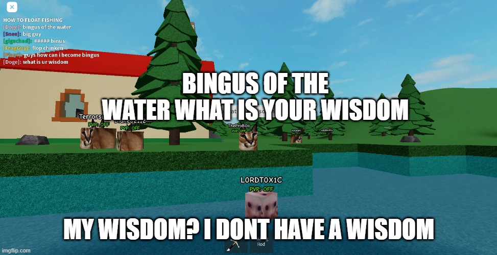 Bingus of the wisdom | BINGUS OF THE WATER WHAT IS YOUR WISDOM; MY WISDOM? I DONT HAVE A WISDOM | image tagged in bingus,wisdom,floppa,raise a floppa,what is your wisdom | made w/ Imgflip meme maker