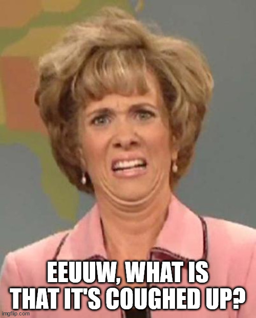 Disgusted Kristin Wiig | EEUUW, WHAT IS THAT IT'S COUGHED UP? | image tagged in disgusted kristin wiig | made w/ Imgflip meme maker