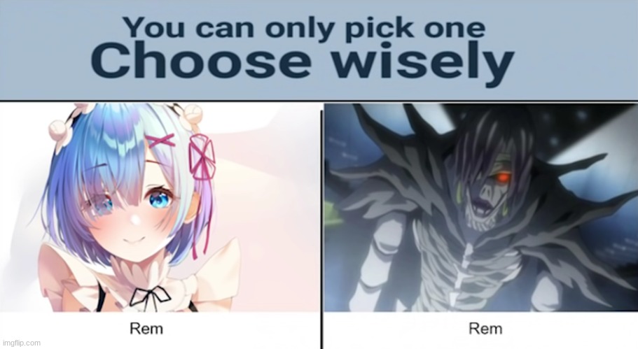 I Choose Rem. | image tagged in anime,re zero,death note,rem | made w/ Imgflip meme maker