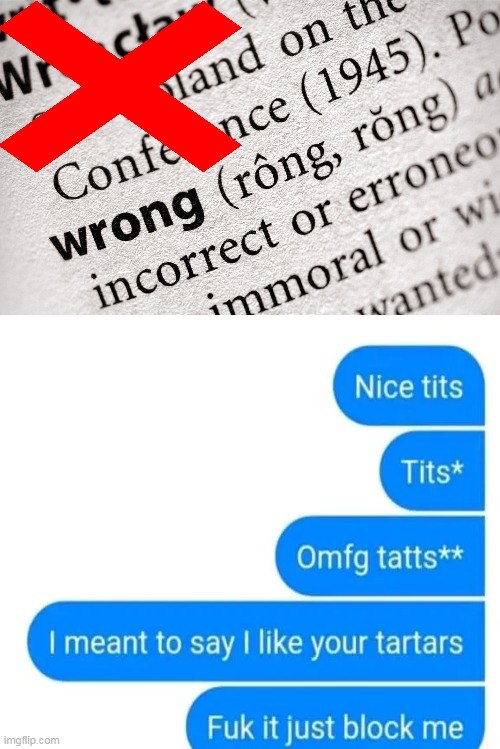 When Words Just Come Out WRONG . . . | image tagged in fun,tattoos,tits,gone wrong,lol,imgflip humor | made w/ Imgflip meme maker