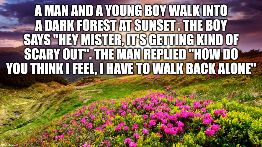 Field of Flowers | A MAN AND A YOUNG BOY WALK INTO A DARK FOREST AT SUNSET . THE BOY SAYS "HEY MISTER, IT'S GETTING KIND OF SCARY OUT". THE MAN REPLIED "HOW DO YOU THINK I FEEL, I HAVE TO WALK BACK ALONE" | image tagged in field of flowers | made w/ Imgflip meme maker