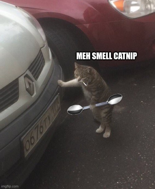 "mechanic cat" | MEH SMELL CATNIP | image tagged in mechanic cat | made w/ Imgflip meme maker