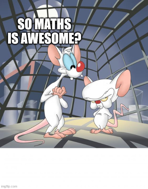 Pinky and the brain | SO MATHS IS AWESOME? | image tagged in pinky and the brain | made w/ Imgflip meme maker