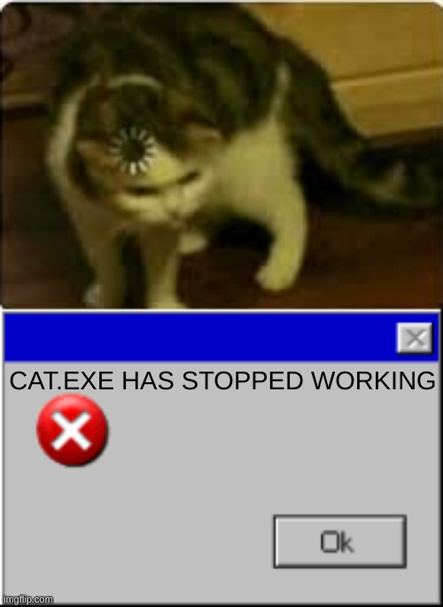 CAT.EXE HAS STOPPED WORKING | image tagged in buffering cat,windows error message | made w/ Imgflip meme maker