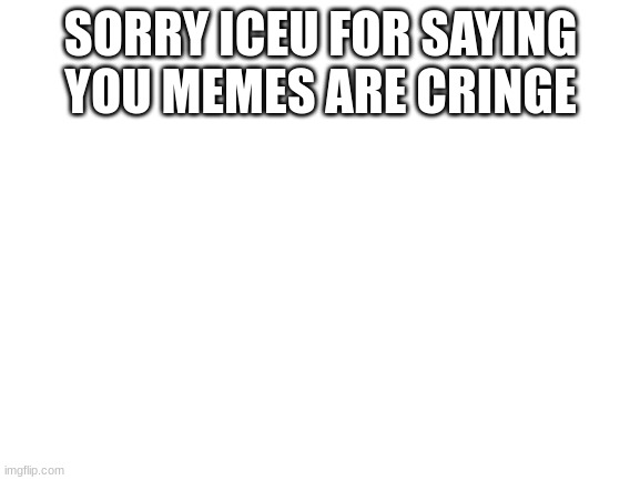 Im sorry man | SORRY ICEU FOR SAYING YOU MEMES ARE CRINGE | image tagged in blank white template | made w/ Imgflip meme maker