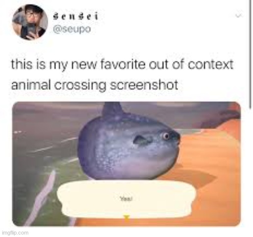 lmaooo | image tagged in acnh,animal crossing,out of context,eeee | made w/ Imgflip meme maker