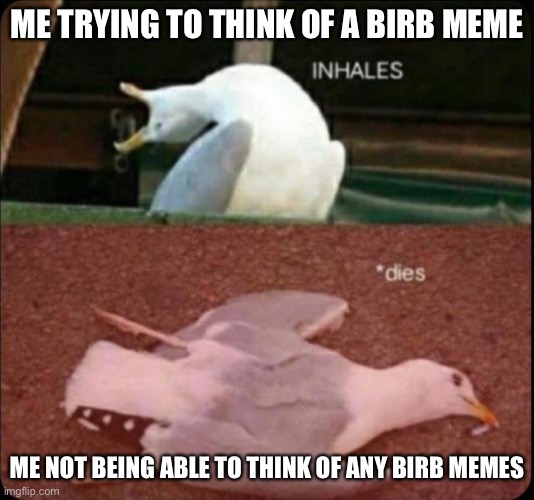 Response to Tako-Chan’s meme about me posting birb memes | ME TRYING TO THINK OF A BIRB MEME; ME NOT BEING ABLE TO THINK OF ANY BIRB MEMES | image tagged in inhales dies bird,credit to tako-chan | made w/ Imgflip meme maker