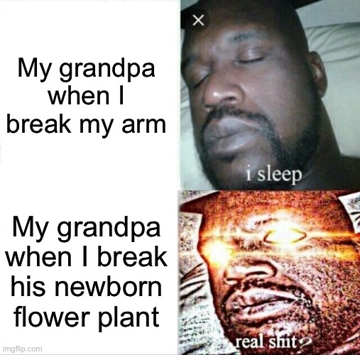 True, true, F’IN TRUE! | My grandpa when I break my arm; My grandpa when I break his newborn flower plant | image tagged in memes,sleeping shaq | made w/ Imgflip meme maker