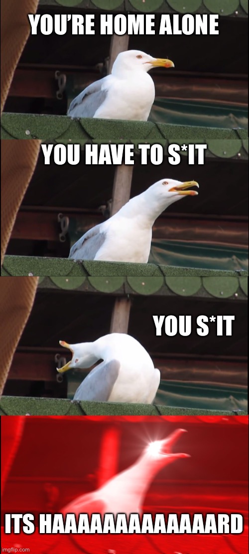 Inhaling Seagull | YOU’RE HOME ALONE; YOU HAVE TO S*IT; YOU S*IT; ITS HAAAAAAAAAAAAARD | image tagged in memes,inhaling seagull | made w/ Imgflip meme maker