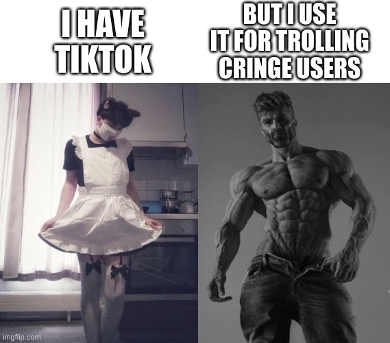 ah yes, trolling a bunch of thots shaking their butts at a camera | BUT I USE IT FOR TROLLING CRINGE USERS; I HAVE TIKTOK | image tagged in giga chad vs femboy | made w/ Imgflip meme maker