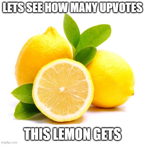 when lif gives you lemons |  LETS SEE HOW MANY UPVOTES; THIS LEMON GETS | image tagged in when lif gives you lemons,funny,distracted boyfriend,first world problems,one does not simply,drake hotline bling | made w/ Imgflip meme maker