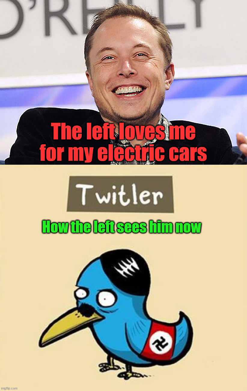 The left loves me for my electric cars; How the left sees him now | image tagged in elon musk,politics | made w/ Imgflip meme maker