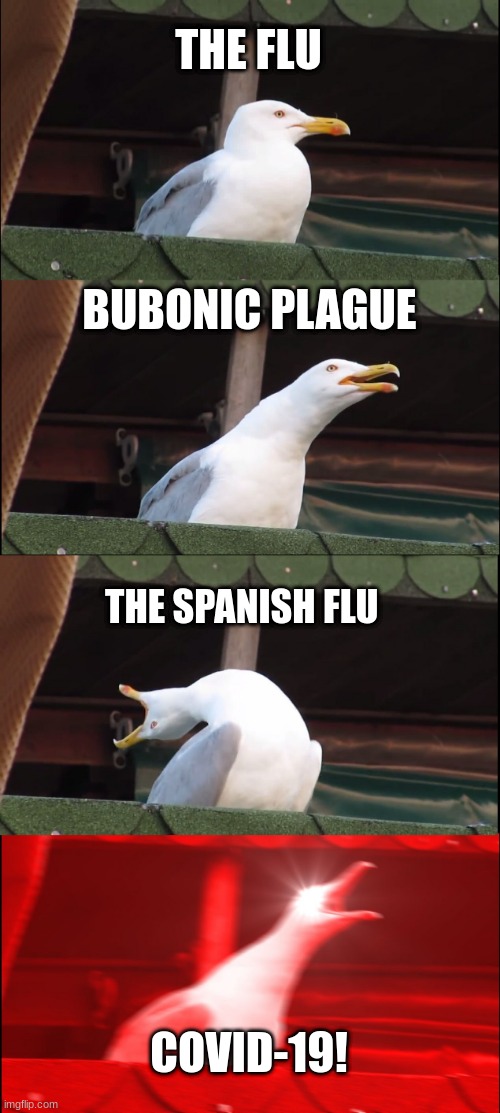 Inhaling Seagull | THE FLU; BUBONIC PLAGUE; THE SPANISH FLU; COVID-19! | image tagged in memes,inhaling seagull | made w/ Imgflip meme maker