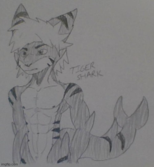 Tiger Shark from Changed (My art) | image tagged in changed,tiger shark,furry,art | made w/ Imgflip meme maker