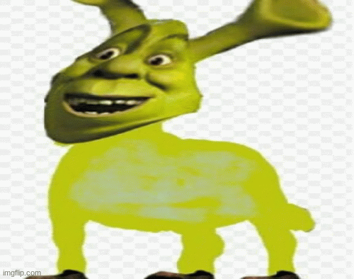 Shrek GIFs