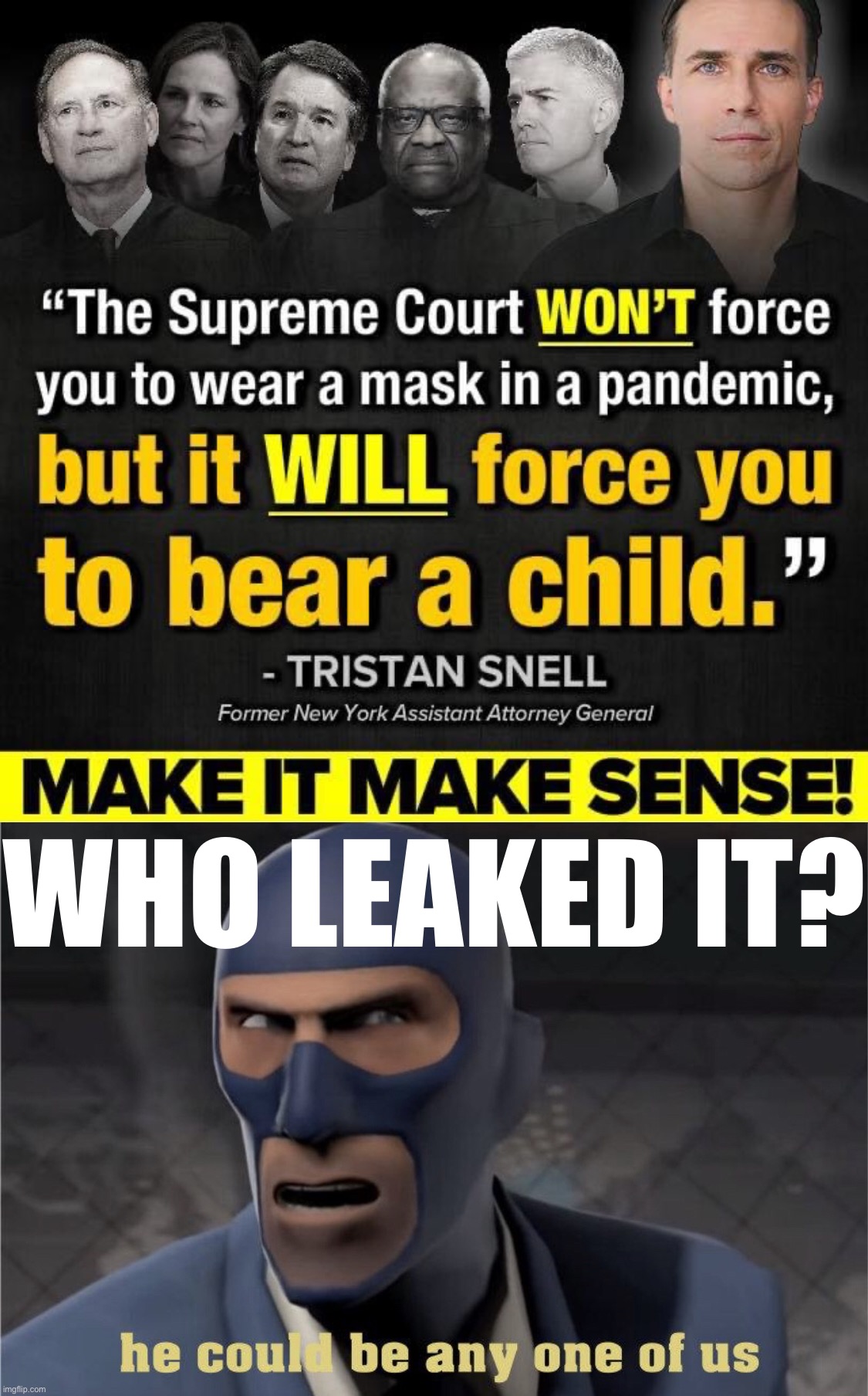 WHO LEAKED IT? | image tagged in scotus hypocrisy,he could be any one of us | made w/ Imgflip meme maker
