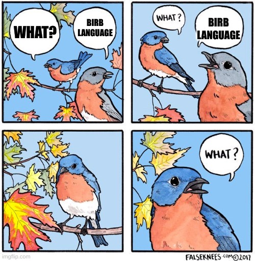 What bird | WHAT? BIRB LANGUAGE BIRB LANGUAGE | image tagged in what bird | made w/ Imgflip meme maker