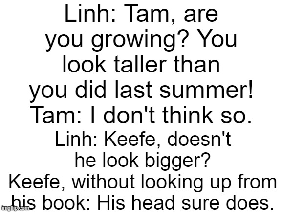 Heehee | Linh: Tam, are you growing? You look taller than you did last summer!
Tam: I don't think so. Linh: Keefe, doesn't he look bigger?
Keefe, without looking up from his book: His head sure does. | image tagged in blank white template,keeper of the lost cities | made w/ Imgflip meme maker