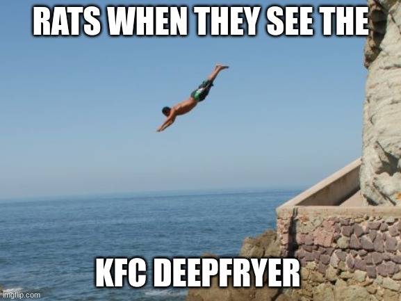 Rats be like | RATS WHEN THEY SEE THE; KFC DEEPFRYER | image tagged in cliff diver | made w/ Imgflip meme maker