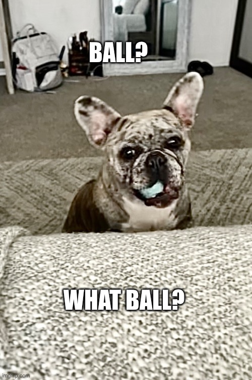 Xena and her ball | BALL? WHAT BALL? | image tagged in xena,blue,ball | made w/ Imgflip meme maker