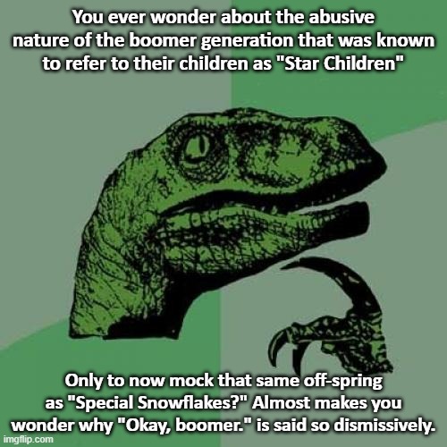 Okay Boomers... | You ever wonder about the abusive nature of the boomer generation that was known to refer to their children as "Star Children"; Only to now mock that same off-spring as "Special Snowflakes?" Almost makes you wonder why "Okay, boomer." is said so dismissively. | image tagged in memes,philosoraptor,ok boomer,boomer,star child,captain hindsight | made w/ Imgflip meme maker