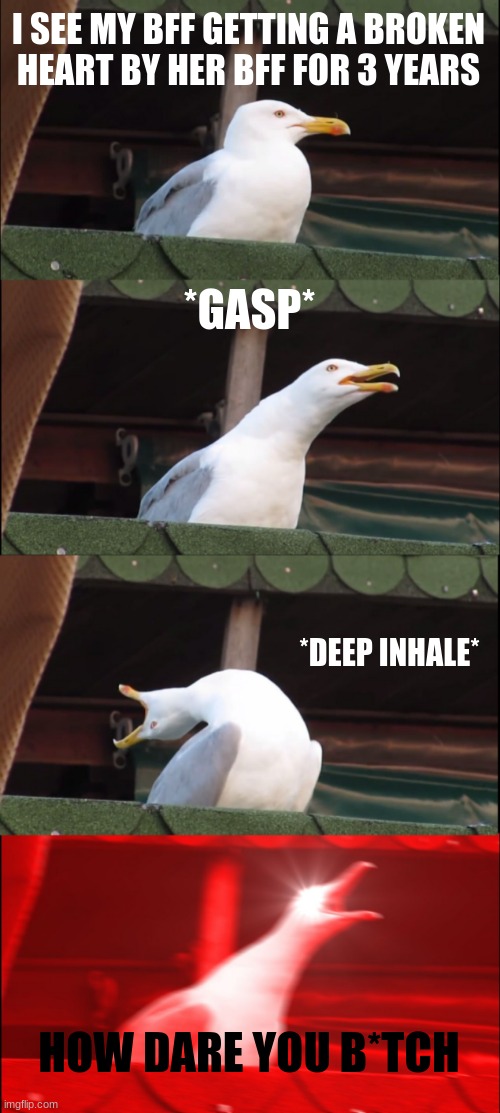 Inhaling Seagull | I SEE MY BFF GETTING A BROKEN HEART BY HER BFF FOR 3 YEARS; *GASP*; *DEEP INHALE*; HOW DARE YOU B*TCH | image tagged in memes,inhaling seagull | made w/ Imgflip meme maker