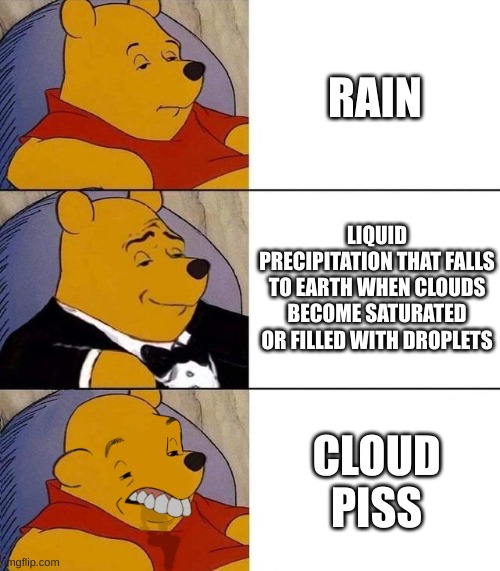 Best,Better, Blurst | RAIN; LIQUID PRECIPITATION THAT FALLS TO EARTH WHEN CLOUDS BECOME SATURATED OR FILLED WITH DROPLETS; CLOUD PISS | image tagged in best better blurst | made w/ Imgflip meme maker
