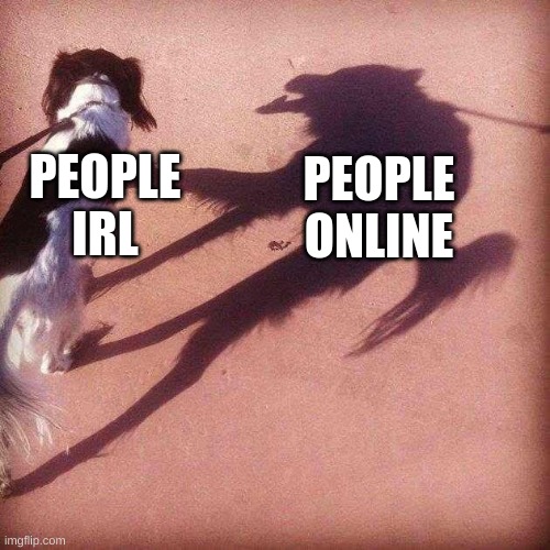 Dog's Shadow | PEOPLE IRL; PEOPLE ONLINE | image tagged in dog's shadow | made w/ Imgflip meme maker