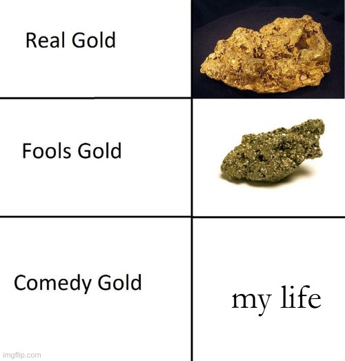 Real Gold Fools Gold Comedy Gold | my life | image tagged in real gold fools gold comedy gold | made w/ Imgflip meme maker