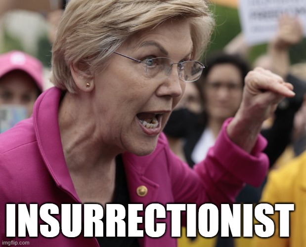 You left out the word "peacefully" during your hissy fit, Liz. | INSURRECTIONIST | image tagged in elizabeth warren,memes,insurrection | made w/ Imgflip meme maker