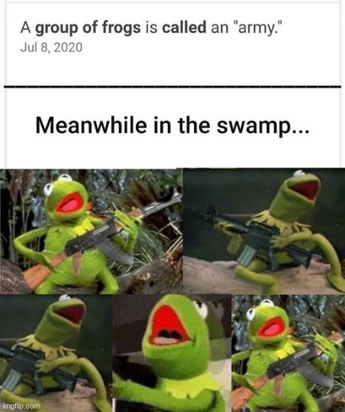 this just escalated | image tagged in memes,kermit,dank memes,swamp | made w/ Imgflip meme maker