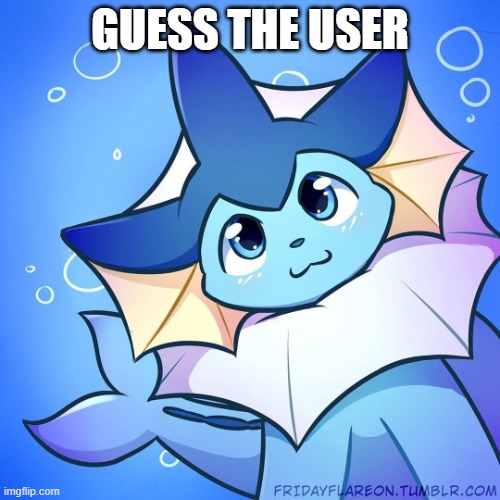 vaporeon | GUESS THE USER | image tagged in vaporeon | made w/ Imgflip meme maker