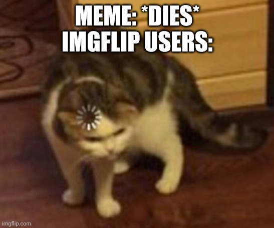WTF | MEME: *DIES*
IMGFLIP USERS: | image tagged in loading cat,memes,imgflip,confused,funny | made w/ Imgflip meme maker