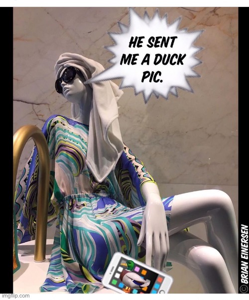 Duck Pic | image tagged in fashion,window design,pucci,duck pic,brian einersen | made w/ Imgflip meme maker