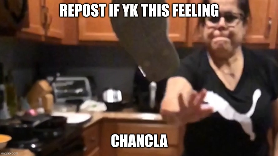 damn | REPOST IF YK THIS FEELING; CHANCLA | image tagged in mexican mom with her chancla | made w/ Imgflip meme maker