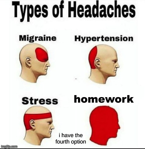 Types of Headaches meme | homework; i have the fourth option | image tagged in types of headaches meme | made w/ Imgflip meme maker