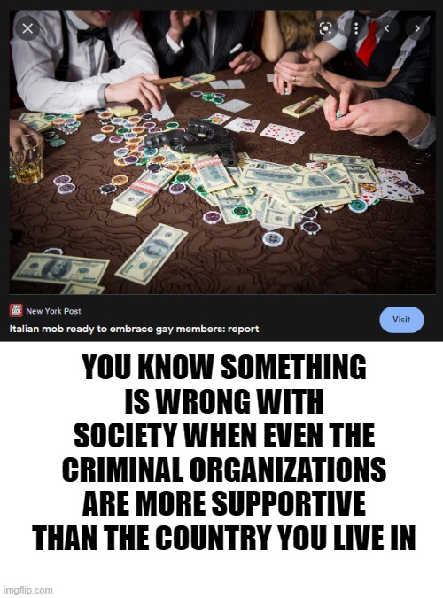 YOU KNOW SOMETHING IS WRONG WITH SOCIETY WHEN EVEN THE CRIMINAL ORGANIZATIONS ARE MORE SUPPORTIVE THAN THE COUNTRY YOU LIVE IN | image tagged in memes,mafia,that's how mafia works,funny,moving hearts | made w/ Imgflip meme maker